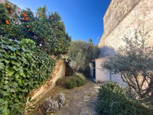 Maisons de vacances Magnifique maison de village : photos des chambres