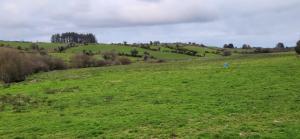 Peacock Farm Estate Self Contained Lodges