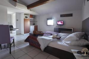 Appart'hotels Adonis Carcassonne : photos des chambres