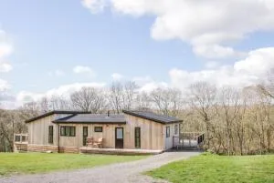 Fabulous detached lodge with hot tub two nights minimum stay - 埃尔弗雷