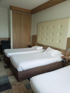 Hotels Kyriad Hotel Tours Centre : photos des chambres