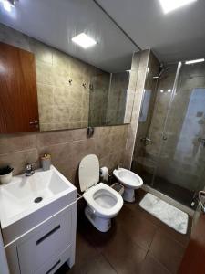 Mono frente al sanatorio de la mujer