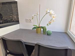 Gregbnb - T2 37m2 -1- Est -