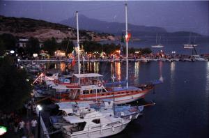 Hotel Dolphin Samos Greece