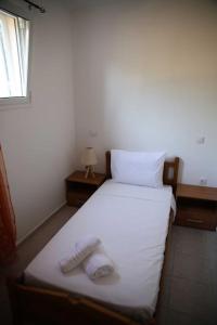 Hercules and Achilles Studios 2