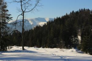 Chata Donovaly Buly 242C