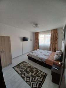 Apartament la dudu