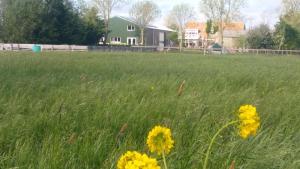 boerenskuur De Bedstee groen