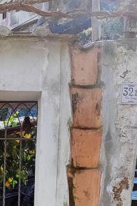 #La limonaia della torretta