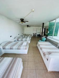 Ven a disfrutar de Casa Alfenapa a pie del lago, somos pet friendly