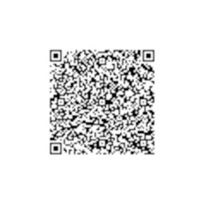 Rosas terrace Roma panoramic penthouse