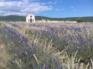 Maisons de vacances Gite les Granges dans ferme provencale. 14 pers : photos des chambres