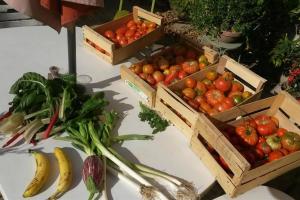 Maisons de vacances Gite les Granges dans ferme provencale. 14 pers : photos des chambres