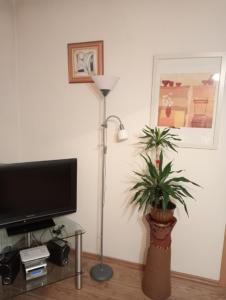 Apartament Stroma 4