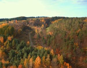 Miłochata Osada PTOSEK Bieszczady