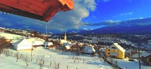 PENSIUNEA HANTIG TURA