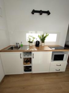 Attic apartment Catnip