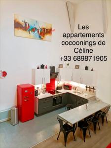 Superbe appartement type loft en duplex rue Buat