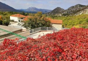 Apartments with a parking space Gornja Brela, Makarska - 20448