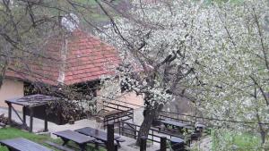 Holiday Home Vila Kikovi