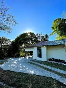 Eucalyptus Cabin Boquete - La Estrella