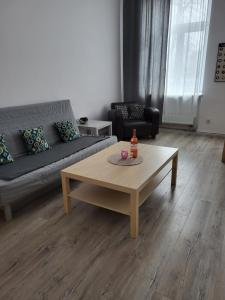 Apartament Vistula