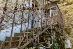 Appartements Gites Provence et Nature - sejours de reve entre Luberon et Monts de Vaucluse : photos des chambres