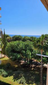Benalmadena Sunny Days