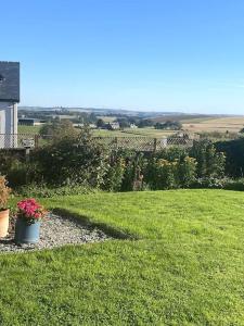 Cosy and modern 1 bedroom garden house - very dog friendly!