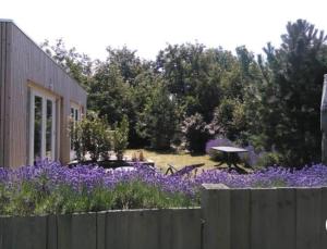 Anna, strandhuisje dichtbij zee & strand!