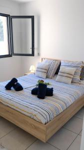 Appartements ENOLA - Proche mer, Terrasse - Pietrosella : photos des chambres