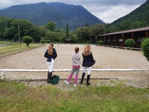 Mühle in der Pferdewelt Reichenau