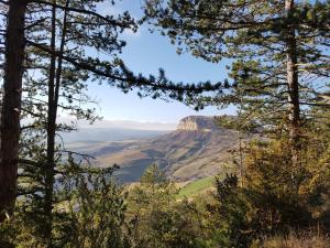 B&B / Chambres d'hotes Les GARGOUILLES Gorges du Tarn - Millau : photos des chambres