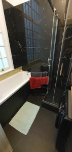 Appartements Hotel particulier - Le 119 : photos des chambres