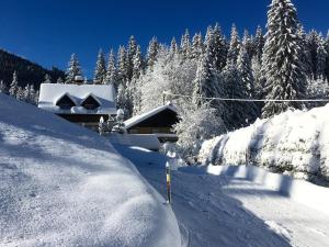 Guffertblick