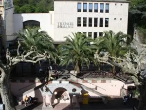 Studio cosy proche cure avec équipement complet et animaux acceptés - FR-1-703-120 - Tapis