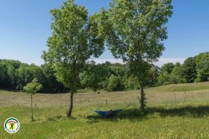 Maisons de vacances Gite de france 4 epis. 13 pers vercors-coulmes : photos des chambres