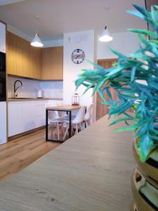 Apartament Premium 72
