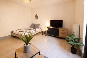 Appartements L'Urbain B - Tout equipe - Centre-Ville Gare : photos des chambres