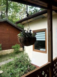 Fiołek domek nad Szelągiem Wielkim