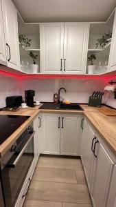 Bogdans Ultracentral Residence 1