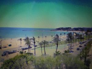 NOVA PINEDA PORT AVENTURA