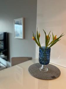 SAS SPA Apartament