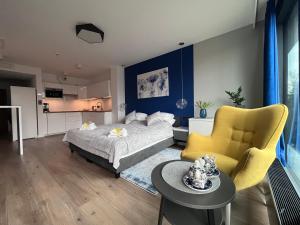 SAS SPA Apartament