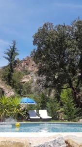 Appartements 2 pieces climatise a 200m des plages : photos des chambres