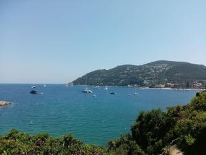 Appartements 2 pieces climatise a 200m des plages : photos des chambres