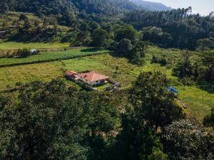 Sunflower village villa girasoles