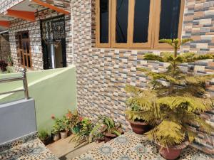 Natures Treat Homestay