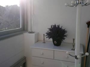 Studio rénové avec télévision, lave-linge, animaux admis - FR-1-680-23