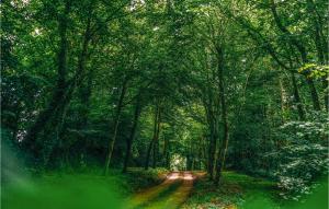 1 Bedroom Lovely Home In Concarneau